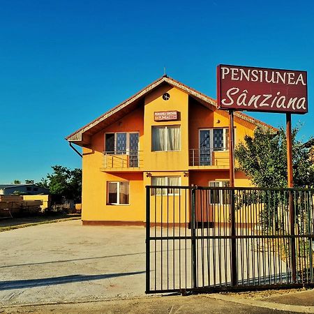 فندق Pensiunea Sanziana أرادايا المظهر الخارجي الصورة