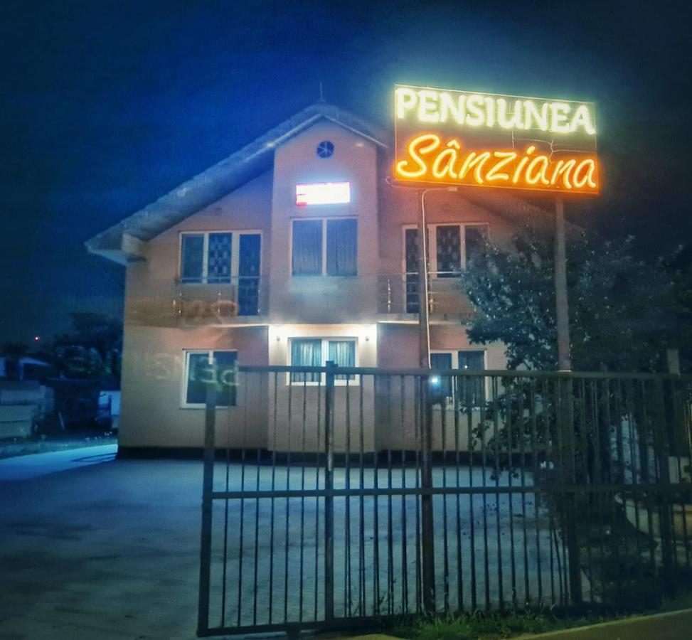 فندق Pensiunea Sanziana أرادايا المظهر الخارجي الصورة